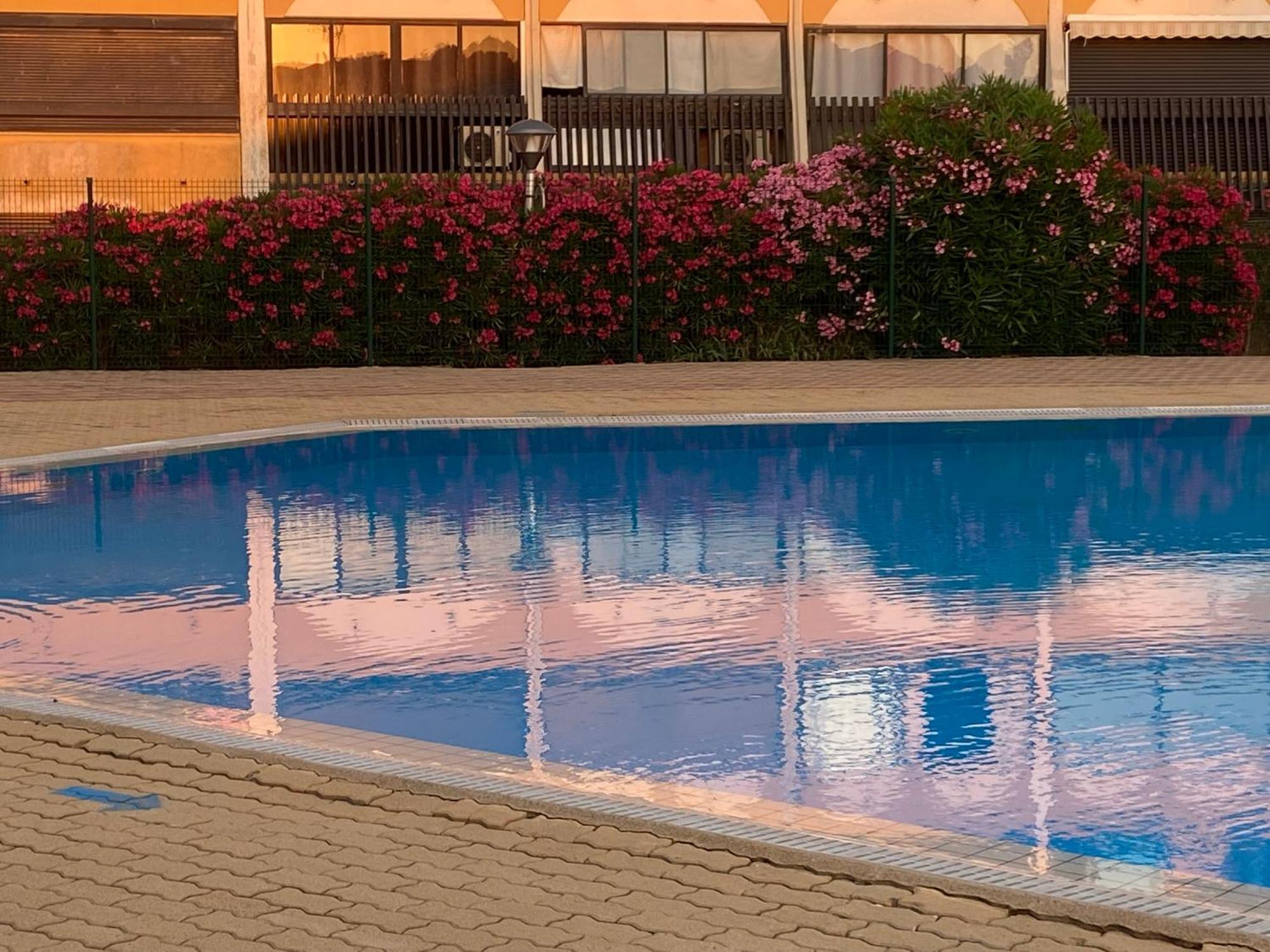 אגדה Purple Secret Naturiste מראה חיצוני תמונה